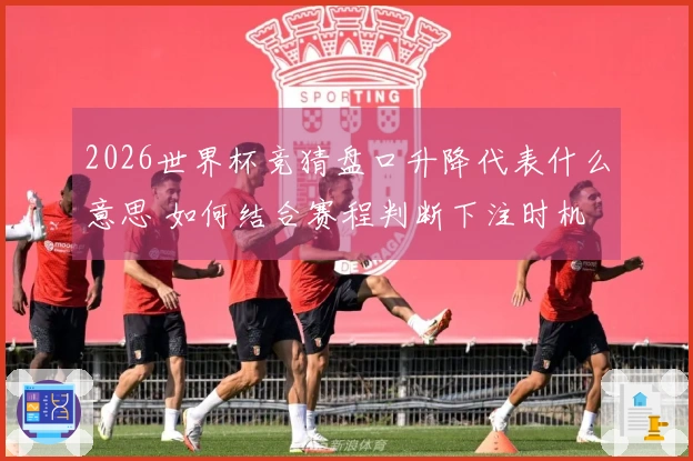2026世界杯竞猜盘口升降代表什么意思 如何结合赛程判断下注时机