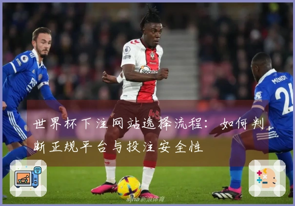 世界杯下注网站选择流程：如何判断正规平台与投注安全性