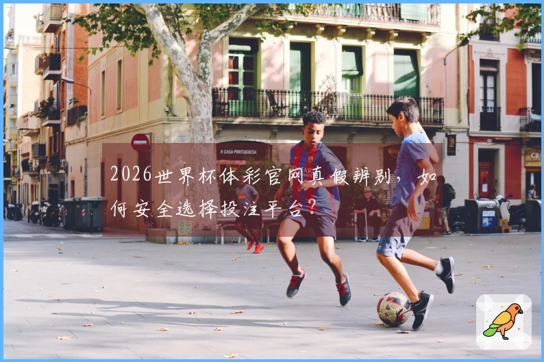 2026世界杯体彩官网真假辨别，如何安全选择投注平台？
