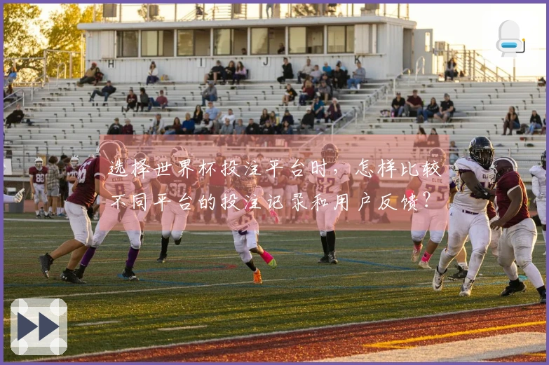 选择世界杯投注平台时，怎样比较不同平台的投注记录和用户反馈？