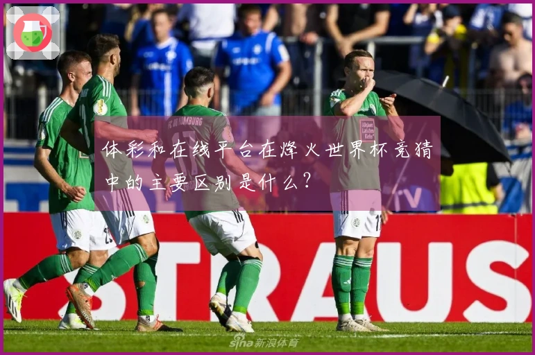 体彩和在线平台在烽火世界杯竞猜中的主要区别是什么？