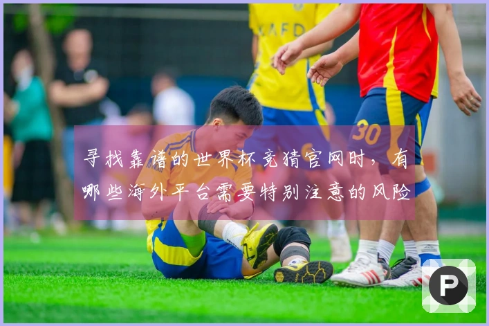 寻找靠谱的世界杯竞猜官网时，有哪些海外平台需要特别注意的风险？