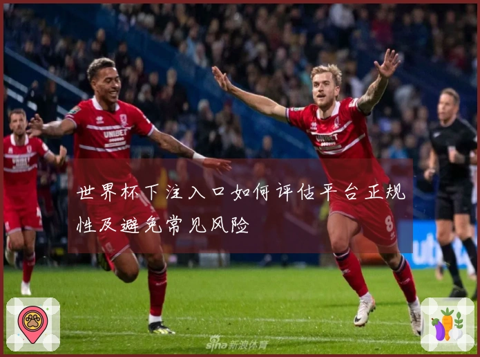世界杯下注入口如何评估平台正规性及避免常见风险