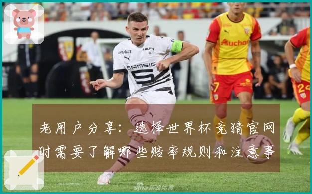 老用户分享：选择世界杯竞猜官网时需要了解哪些赔率规则和注意事项