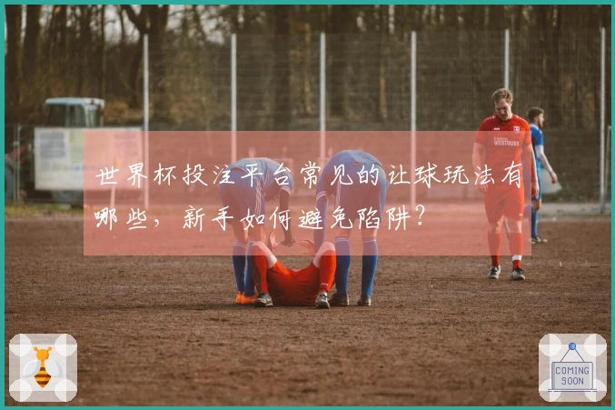 世界杯投注平台常见的让球玩法有哪些,新手如何避免陷阱?