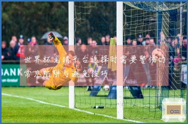 世界杯竞猜平台选择时需要警惕的常见陷阱与避免技巧