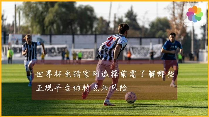 世界杯竞猜官网选择前需了解哪些正规平台的特点和风险