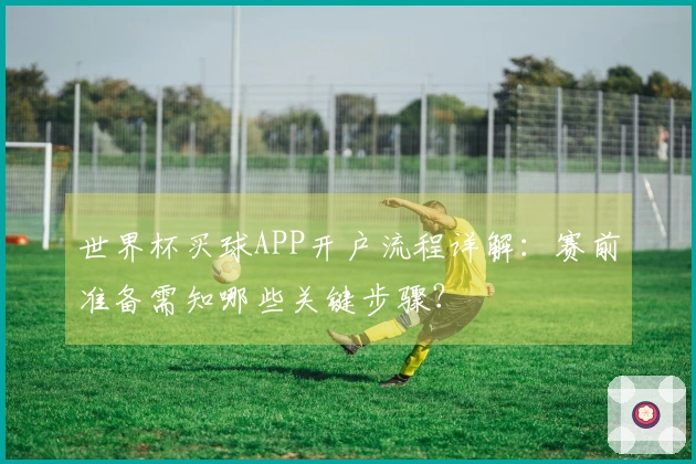 世界杯买球APP开户流程详解：赛前准备需知哪些关键步骤？