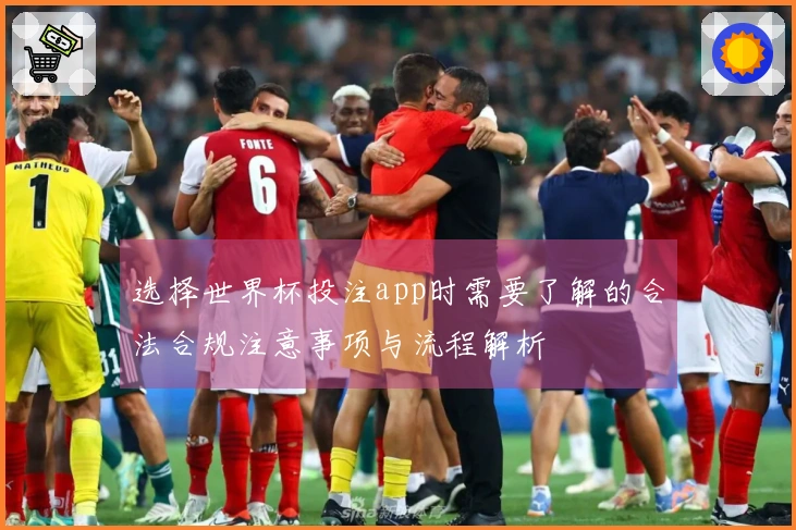 选择世界杯投注app时需要了解的合法合规注意事项与流程解析
