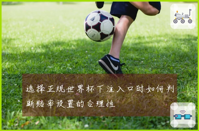 选择正规世界杯下注入口时如何判断赔率设置的合理性