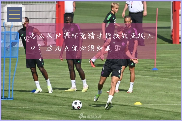 怎么买世界杯竞猜才能找到正规入口？这几点你必须知道