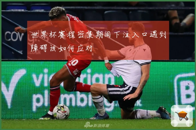 世界杯赛程密集期间下注入口遇到障碍该如何应对