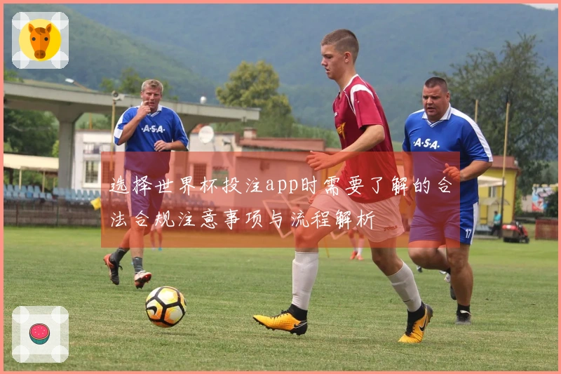 选择世界杯投注app时需要了解的合法合规注意事项与流程解析