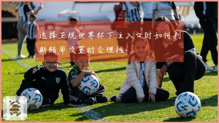 选择正规世界杯下注入口时如何判断赔率设置的合理性