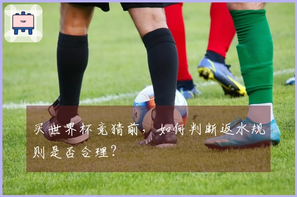 买世界杯竞猜前，如何判断返水规则是否合理？