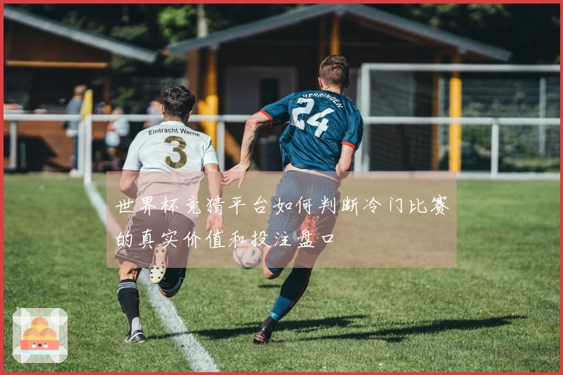 世界杯竞猜平台如何判断冷门比赛的真实价值和投注盘口