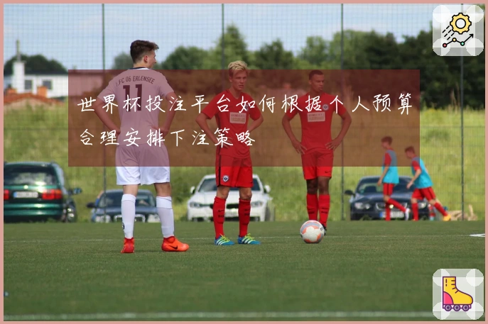 世界杯投注平台如何根据个人预算合理安排下注策略