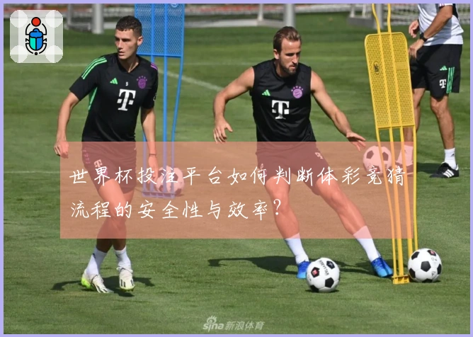 世界杯投注平台如何判断体彩竞猜流程的安全性与效率？