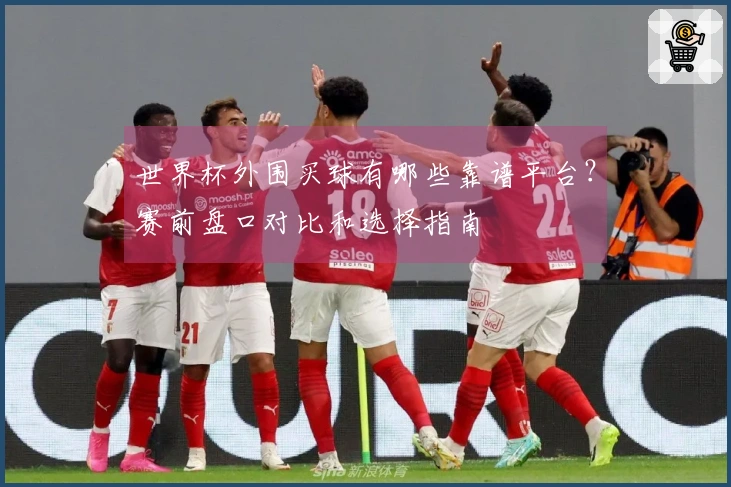世界杯外围买球有哪些靠谱平台？赛前盘口对比和选择指南