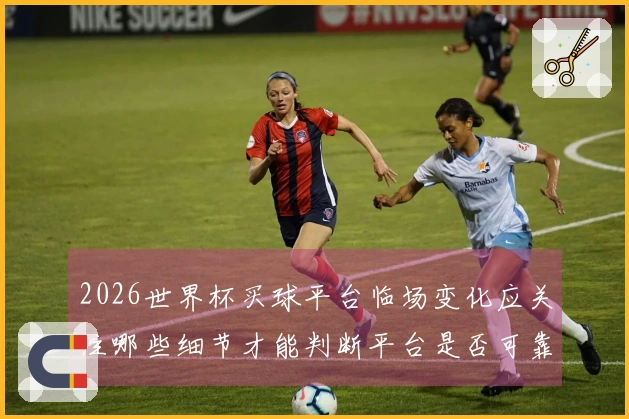 2026世界杯买球平台临场变化应关注哪些细节才能判断平台是否可靠