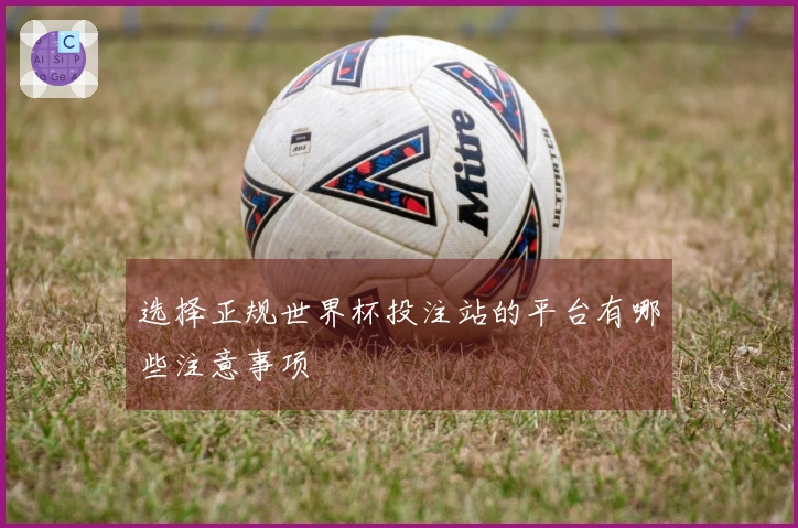 选择正规世界杯投注站的平台有哪些注意事项