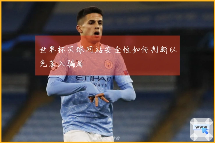 世界杯买球网站安全性如何判断以免落入骗局
