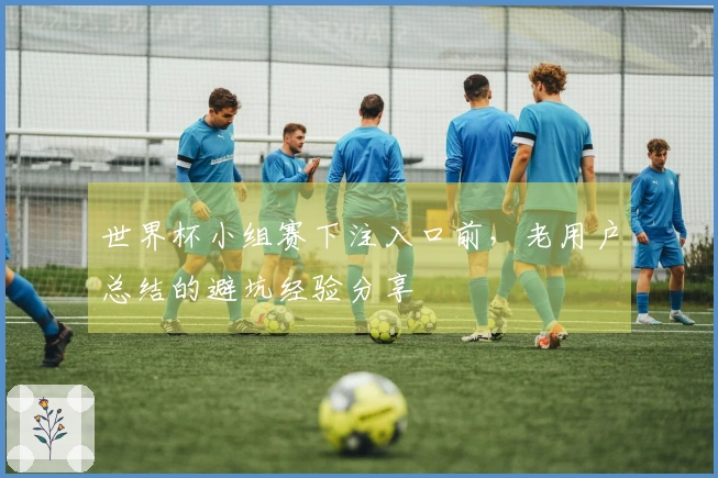 世界杯小组赛下注入口前，老用户总结的避坑经验分享